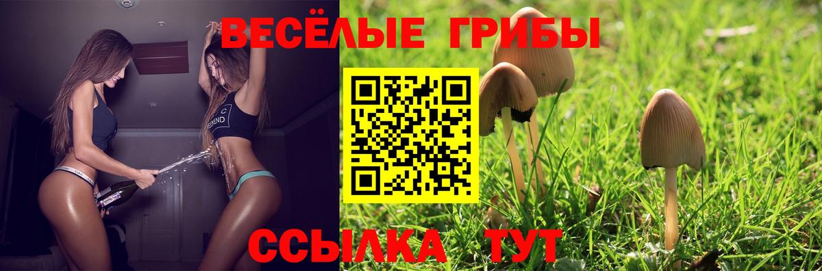наркотики  Вход с VPN  Псилоцибиновые грибы мицелий  Алапаевск  Галлюциногенные грибы GOLDEN TEACHER 